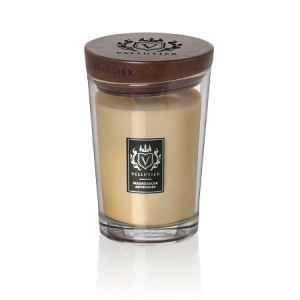 Vellutier Large Candle Madagascar Adventure 5