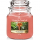 Yankee Candle Medium Jar The Last Paradise 6