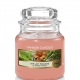 Yankee Candle Small Jar The Last Paradise 7