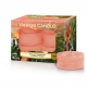 Yankee Candle waxinelichtjes The Last Paradise 7