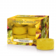 Yankee Candle waxinelichtjes Tropical Starfruit 7