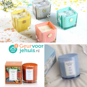 Ashleigh & Burwood Scented Candle