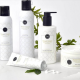 Bridgewater Candle Sweet Grace Luxe Body Gift set 7