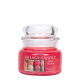 Village Candle Small Jar French Macaron 6