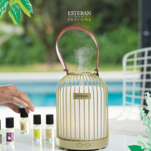 Esteban Diffusers