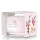 Yankee Candle Filled Votive Pink Cherry Vanilla 6