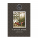 Bridgewater Candle Geurzakje Afternoon Retreat 4 stuks 6