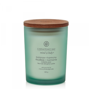 Chesapeake Bay Candle Medium Balance & Harmony 3