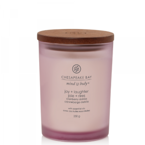 Chesapeake Bay Candle Medium Joy & Laughter 5