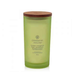 Chesapeake Bay Candle Large Awaken & Invigorate 5