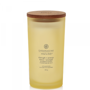 Chesapeake Bay Candle Large Strength & Energy 3