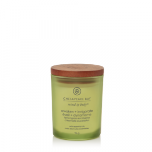 Chesapeake Bay Candle Small Awaken & Invigorate 4