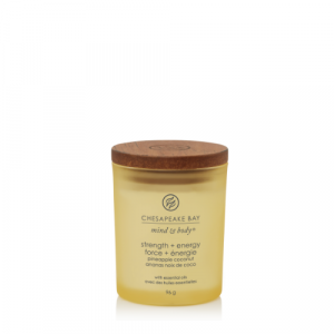 Chesapeake Bay Candle Small Strength & Energy 4
