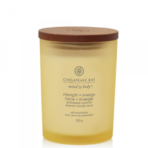 Chesapeake Bay Candle Medium Strength & Energy 6
