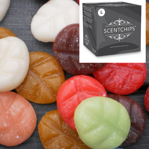 Toepassen etnisch Uitgebreid Scentchips Box L 26 stuks Now Or Never - Geur voor je huis