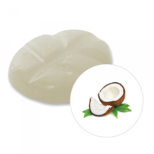 Scentchips Box M 13 stuks Coconut 10