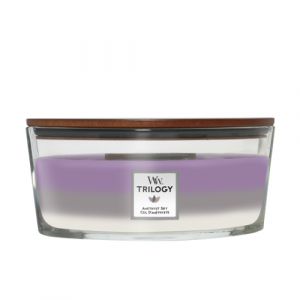 WoodWick HearthWick Flame Ellipse Amethyst Sky Trilogy 5