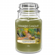 Yankee Candle Large Jar Autumn Nature Walk 6