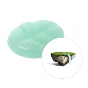 Scentchips Box M 13 stuks Clean River 9