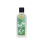 Ashleigh & Burwood Lamp Oil Winter Jasmine & Green Leaves 250 ml 6