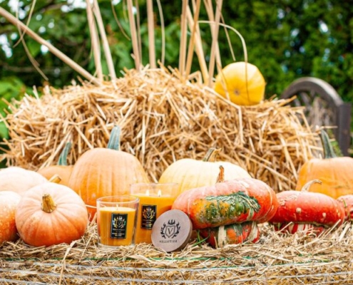 Halloween 7 pumpkin geuren