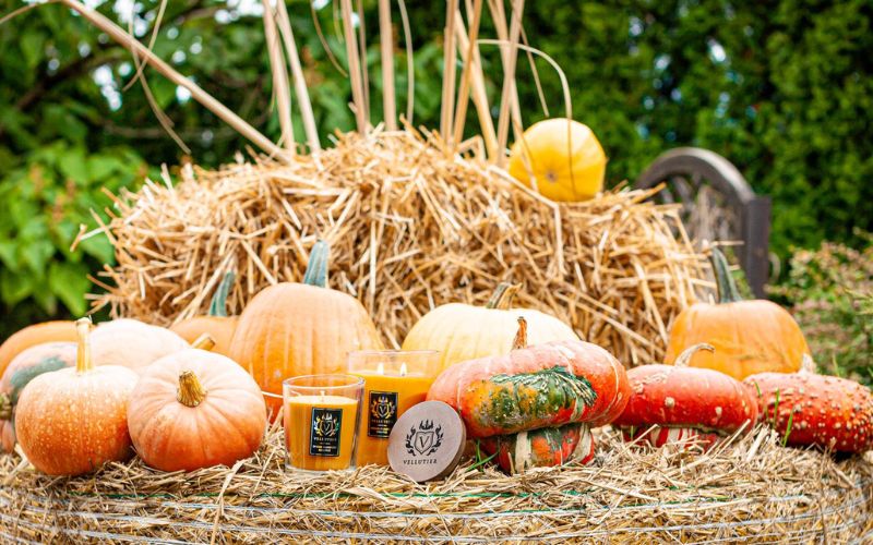 pumpkin geuren