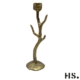 Home Society Kandelaar Branch Gold Medium 7