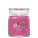 Yankee Candle Signature Medium Jar Art In The Park 7