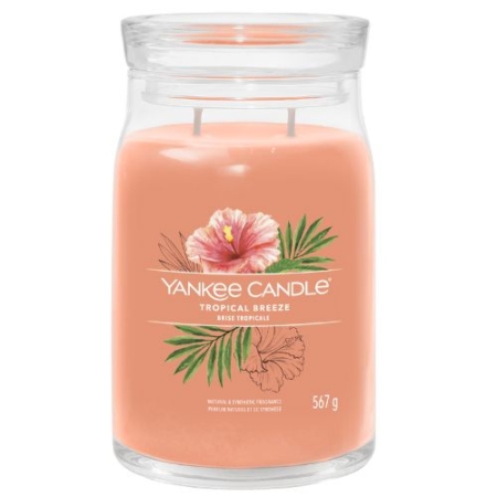 Yankee Candle Signature Large Jar Tropical Breeze 3