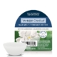 Yankee Candle Wax Melt White Gardenia 6