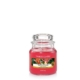 Yankee Candle Small Jar Tropical Jungle 7