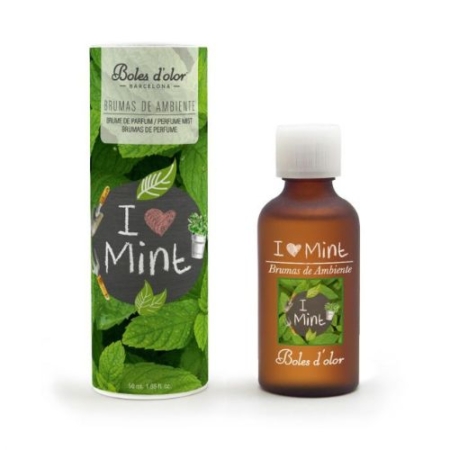 Boles d' olor Geurolie I Love Mint 3