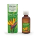 Boles d' olor Geurolie Strelitzia 7