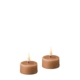 Deluxe Homeart Led Tealight 2 stuks Caramel 7