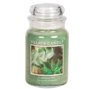 Village Candle Large Jar Eucalyptus Mint