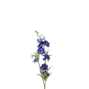 Countryfield Delphinium Jesika Blauw