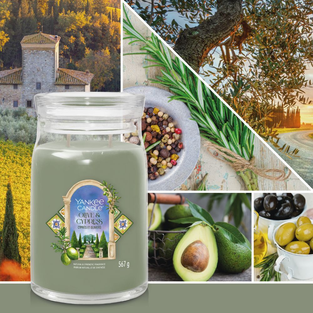 yankee candle large jar e-Jar-Olive-Cypres