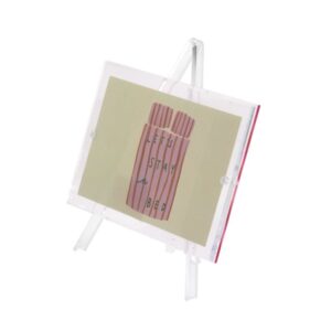 Homebound by KY Fotolijst 18x13cm roze