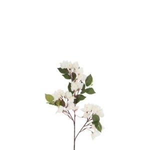 Countryfield Bougainvillea Wit