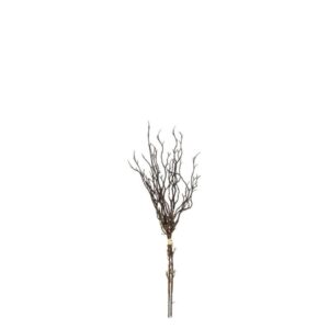 Countryfield Bundel Myrica