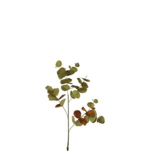 Countryfield Kunstblad Eucalyptus Bruin