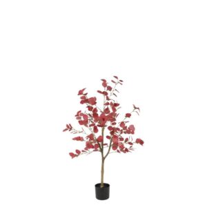 Countryfield Kunstplant Eucalyptus S rood