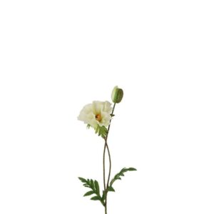 Countryfield Papaver Vere Wit