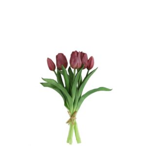 Countryfield bos Tulpen Paars 28 cm