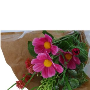 Countryfield Kunst Boeket Cosmos Kruisbloem Fuchsia