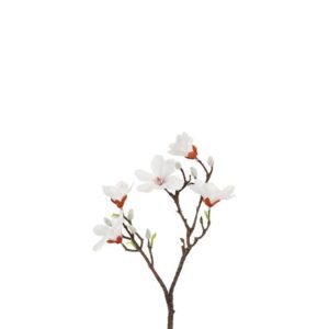 Countryfield Magnolia Wit