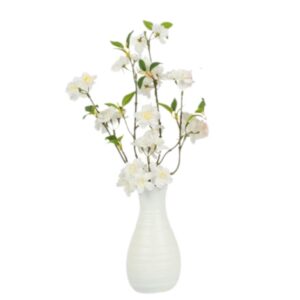 Countryfield Prunus in vaas Wit