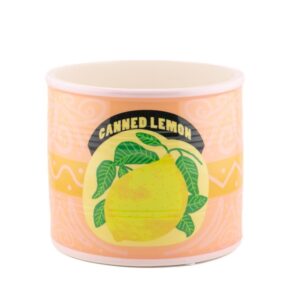 Homebound by KY Aardewerk Bloempot Citroen L