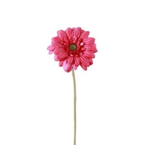 Countryfield Gerbera Fuchsia