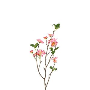 Countryfield Malus Donker roze